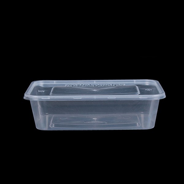 650ml PP Plastic Rectangle Box