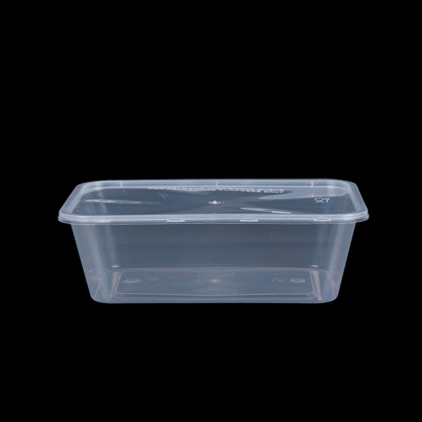 750ml PP Plastic Rectangle Box