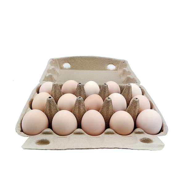 Customized Paper Eggs Tray